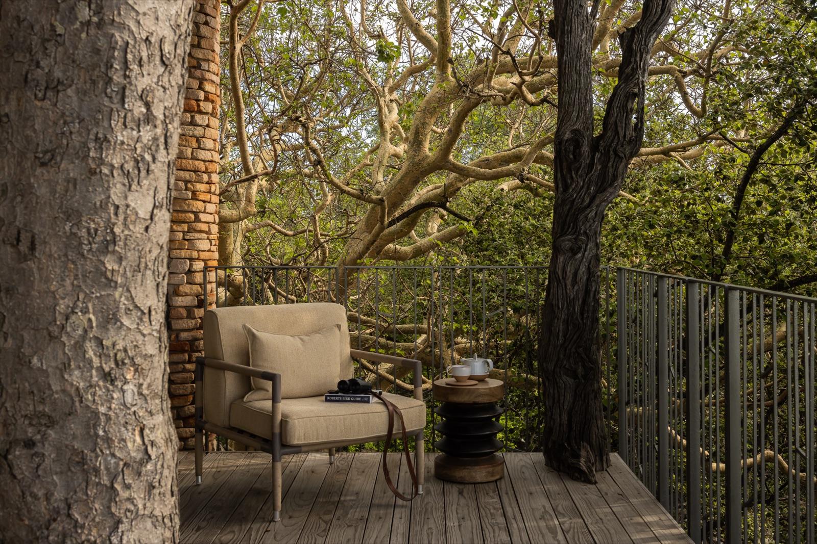 Baobabs and Birds