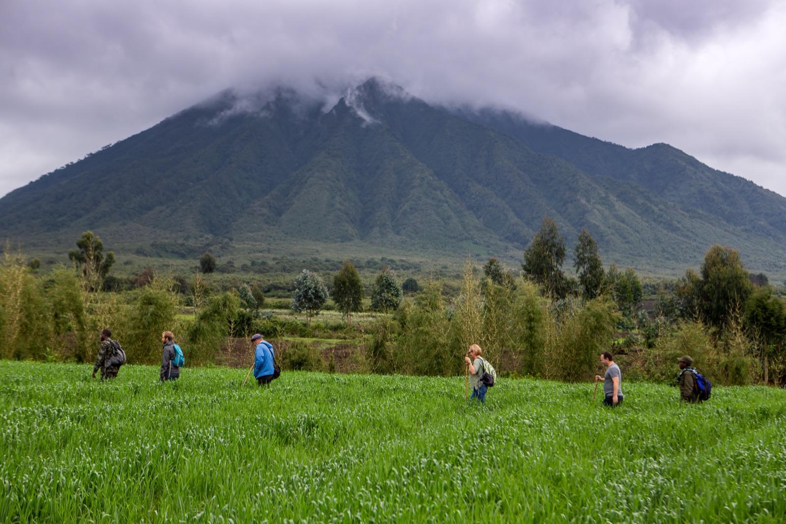deep-in-gorilla-country — 1