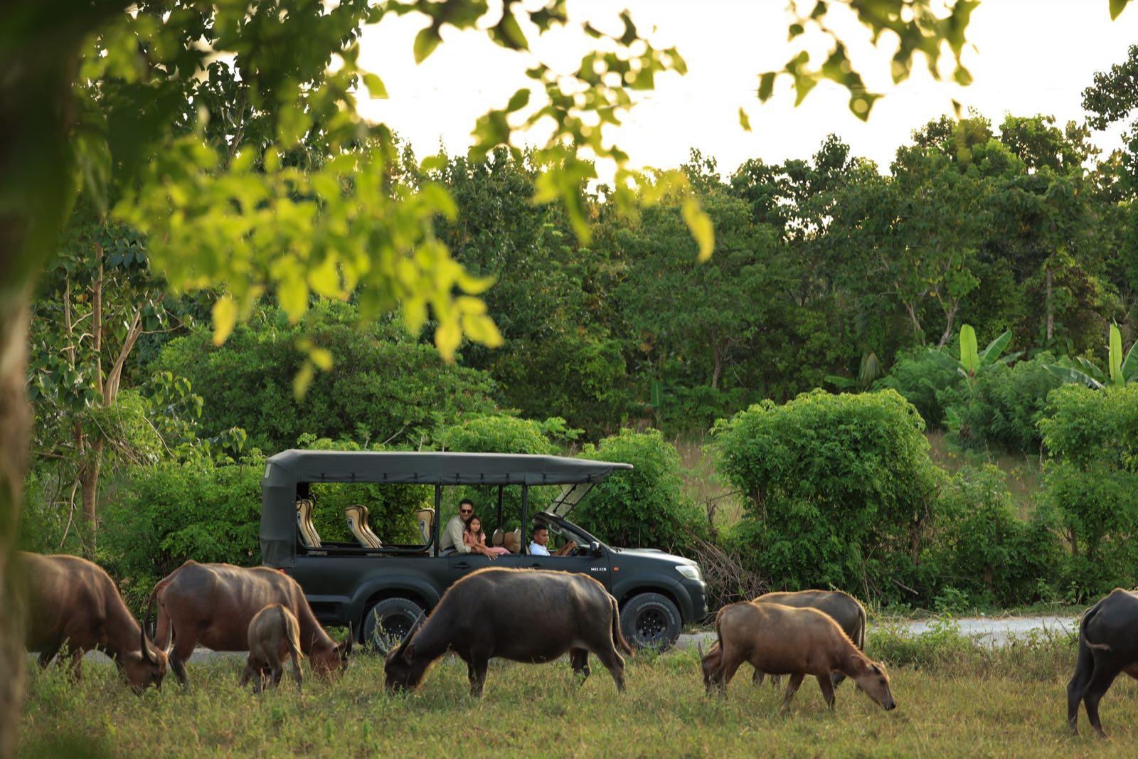 NIHIsumba Safari byGabrielUlung 19