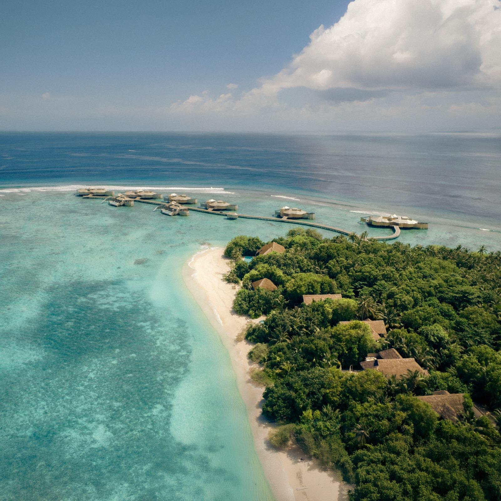 The Island
