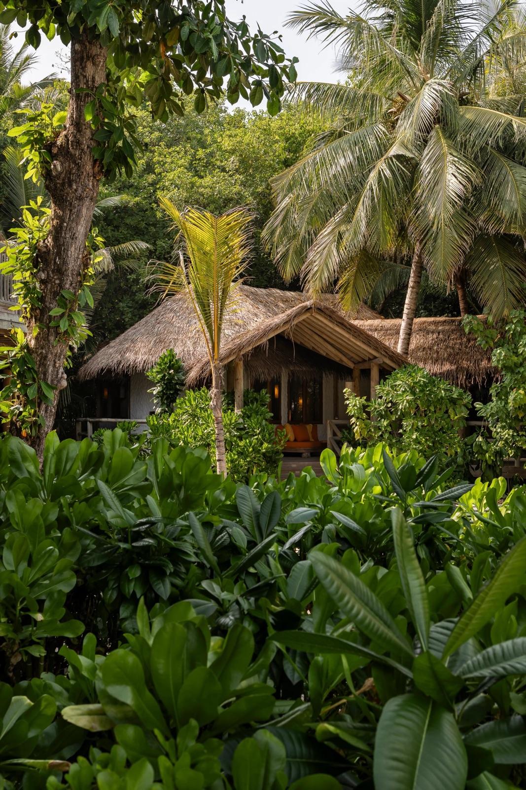 the-house-of-fushi — 7