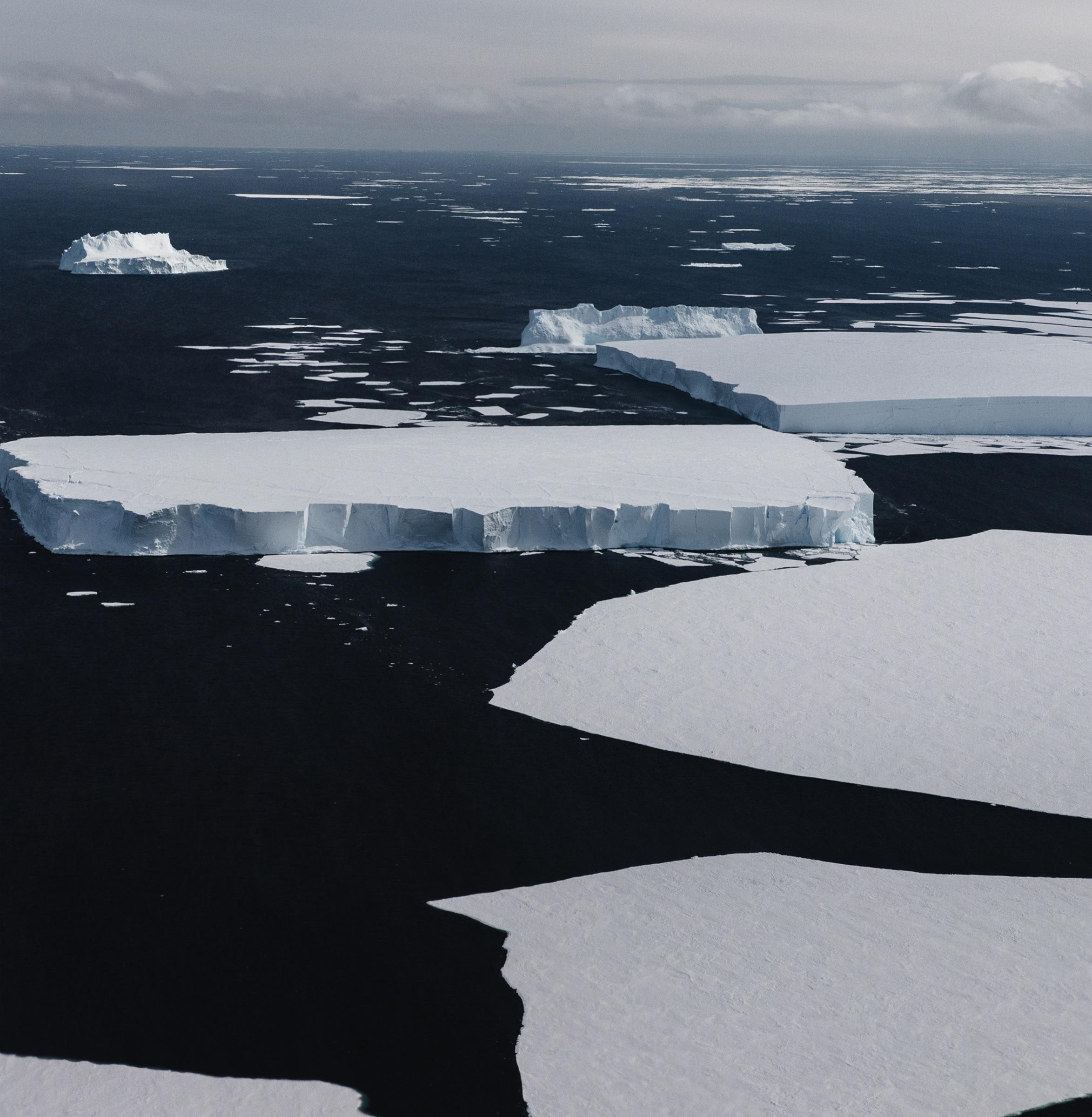 Antarctica in More Than One Form