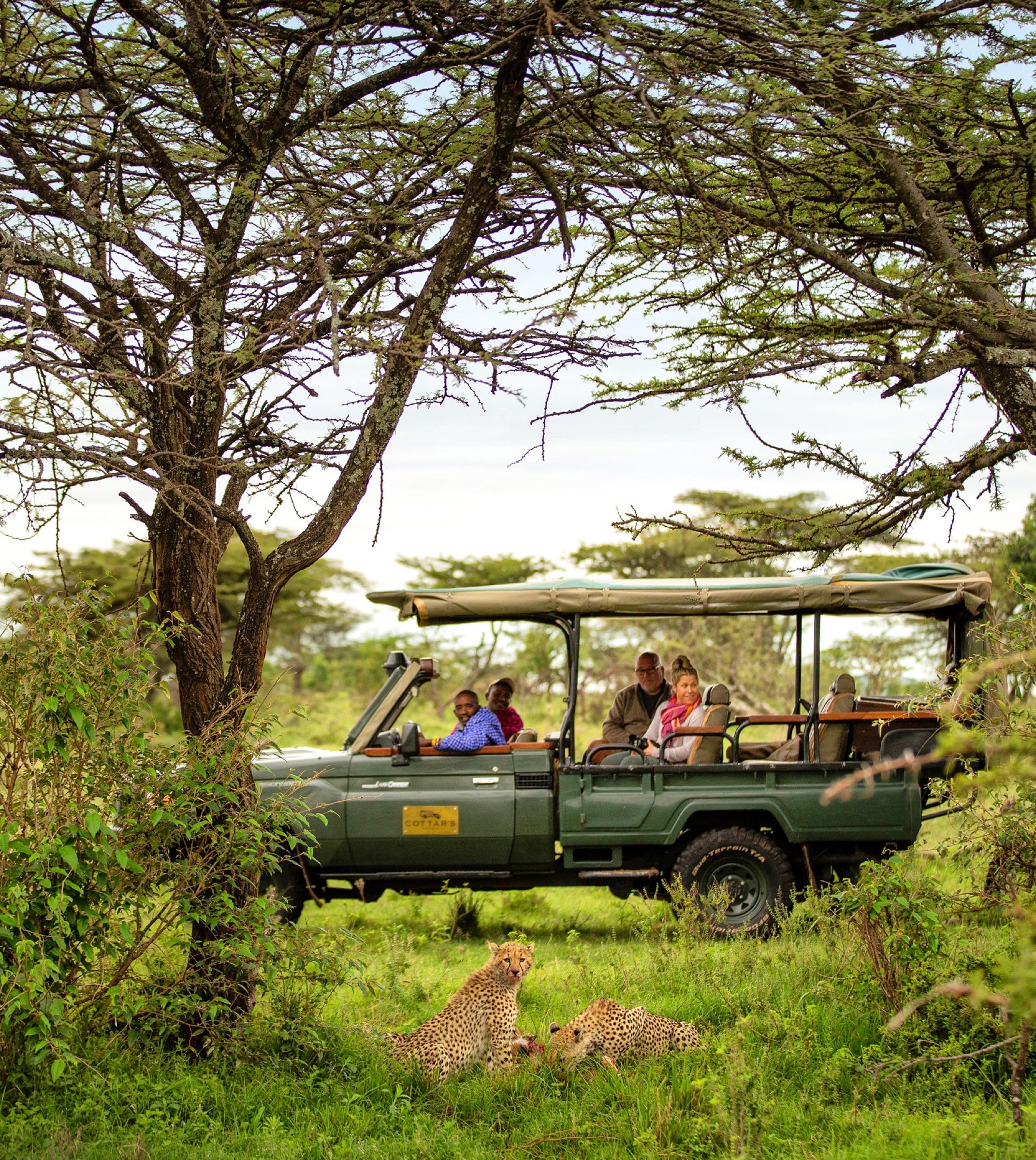 The Conservancy