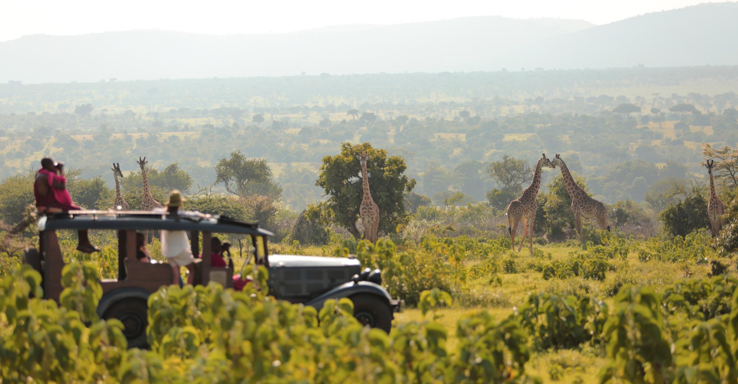 The Maasai Explorer — story