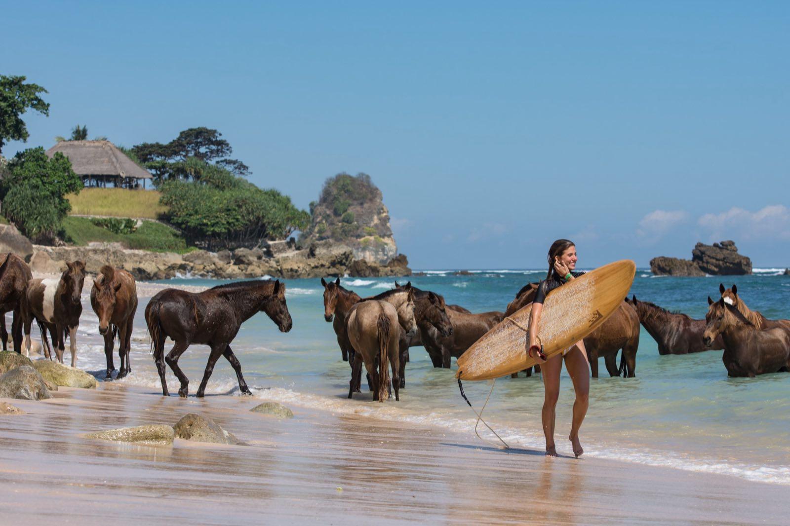 NIHIsumba HorsesWildFree byTaniaAraujo 3616