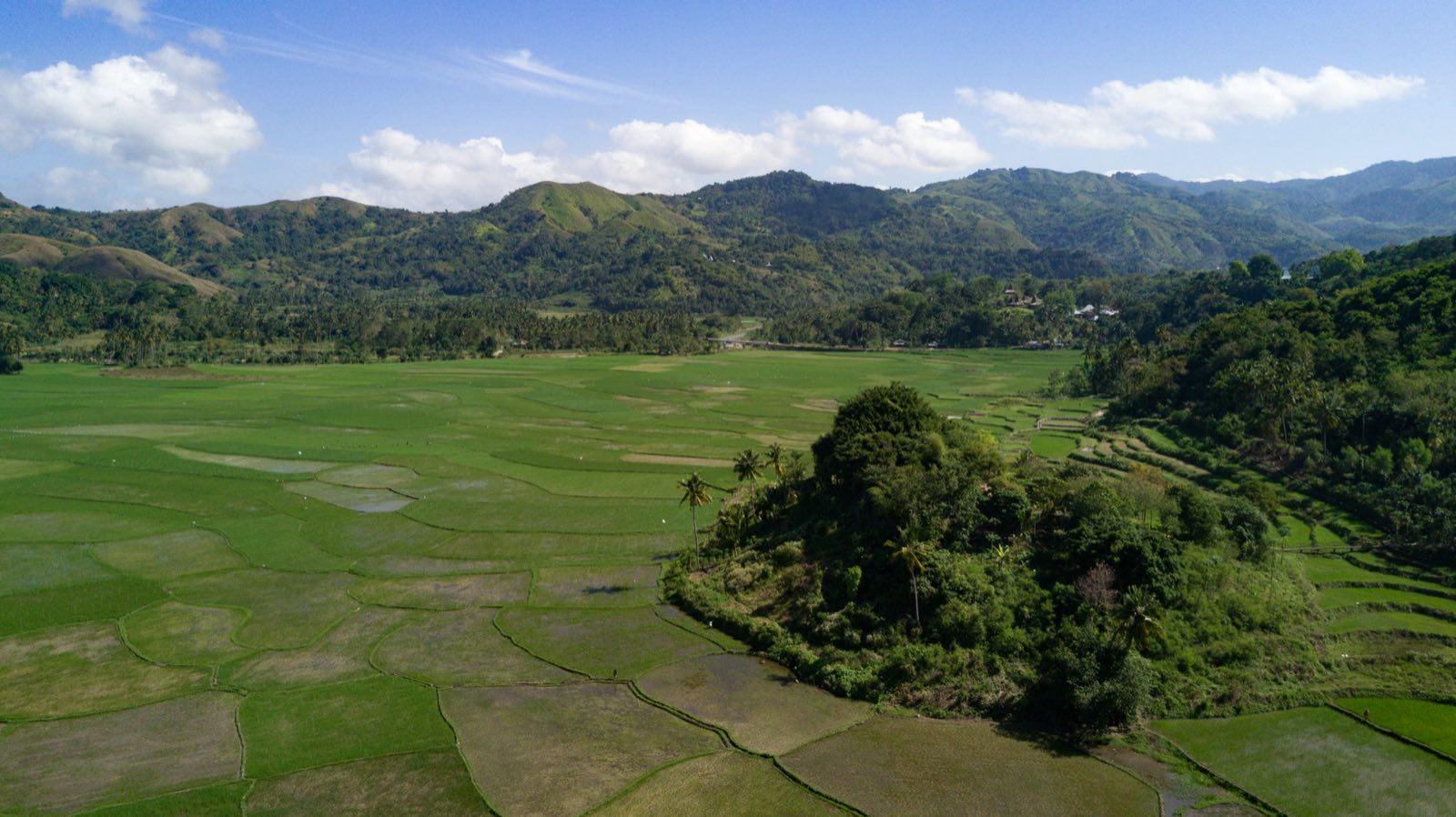 taniaAraujo DJI 0139