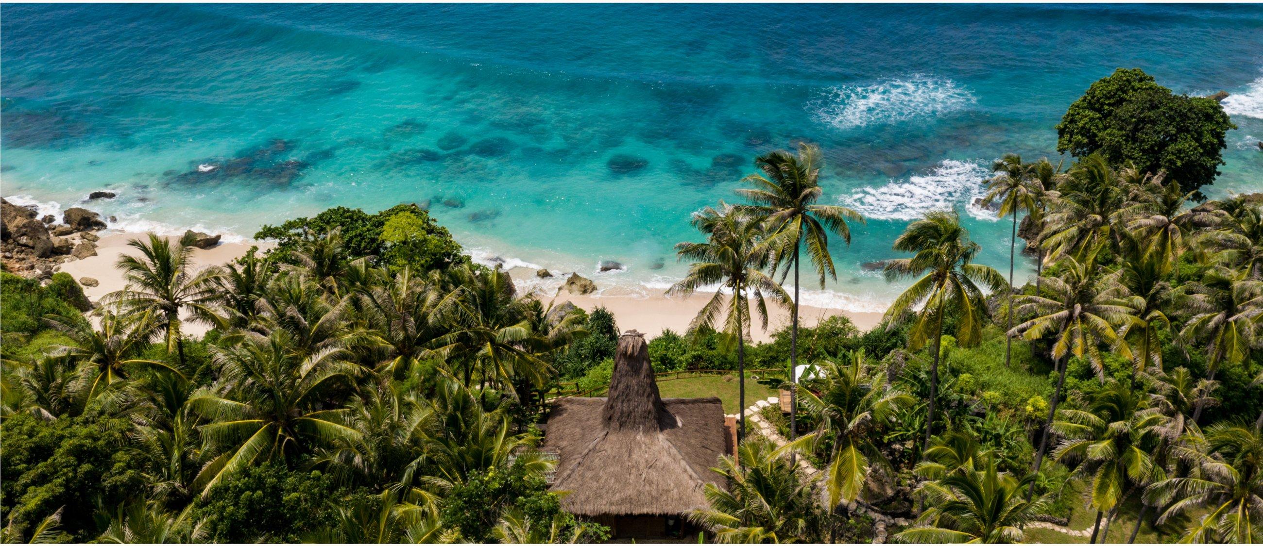 An aerial view of a palm-fringed tropical coastline
