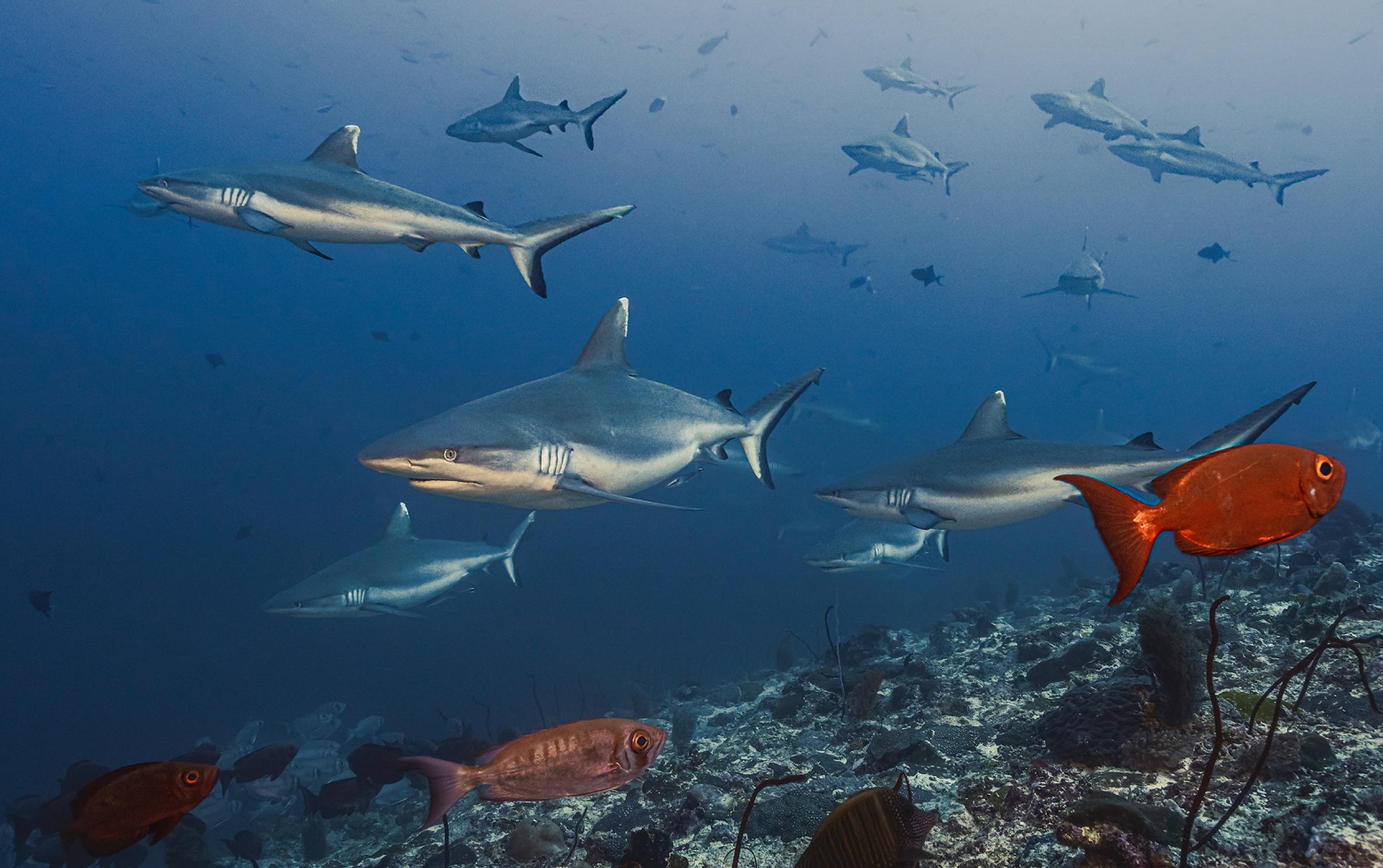 A Private World at Sea — reserve 6