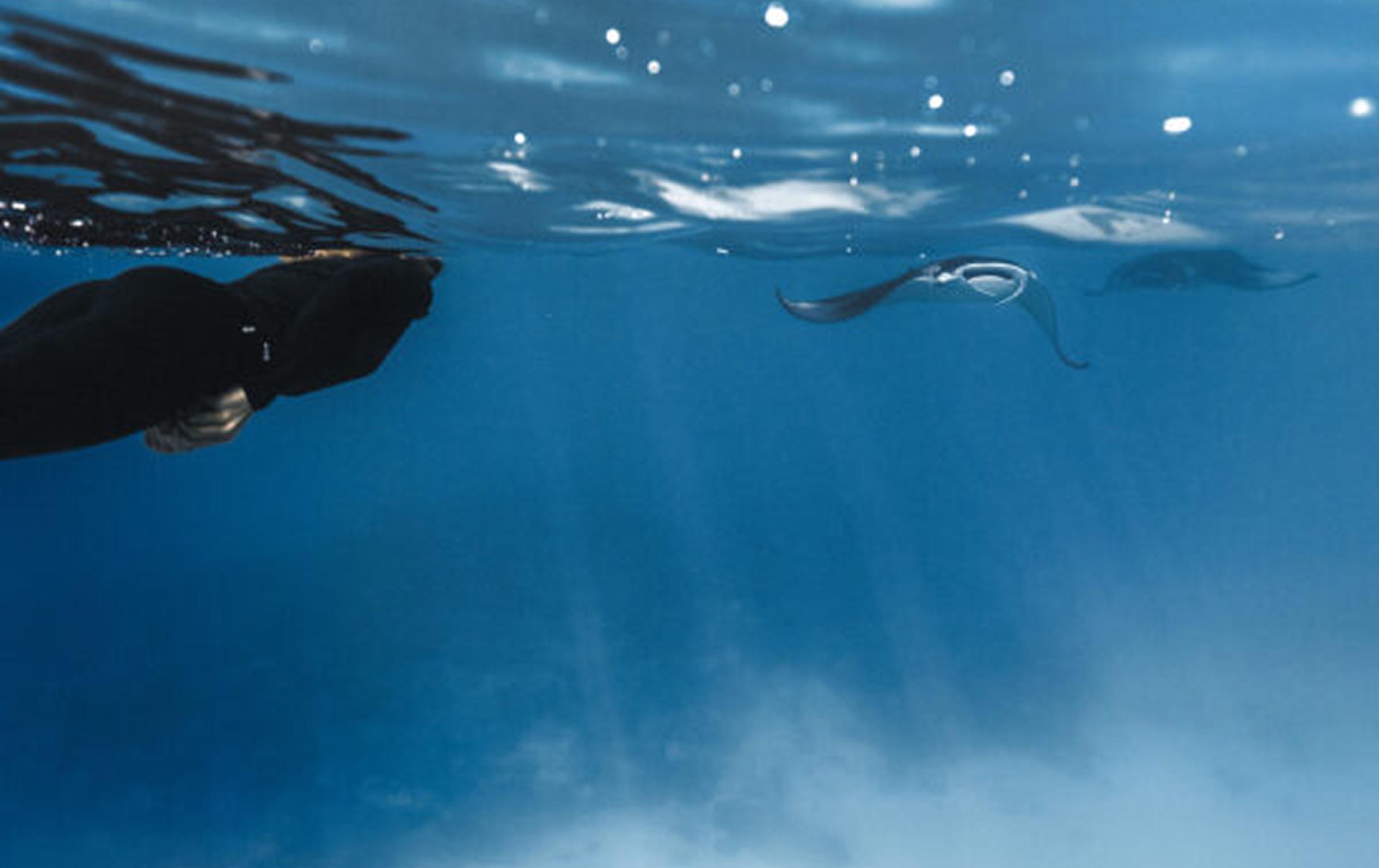 A Private World at Sea — reserve 8