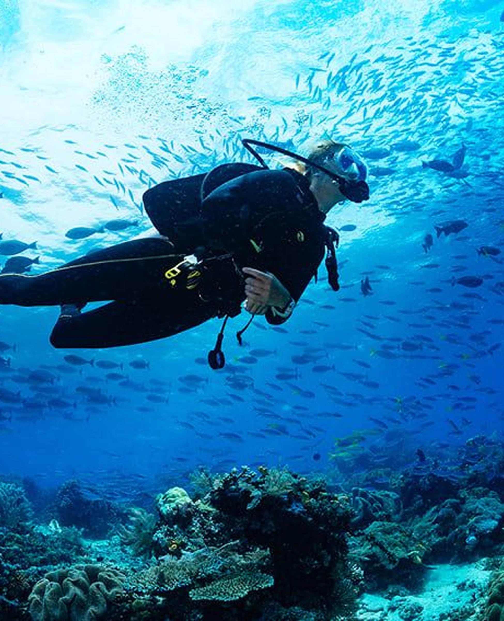 Outer Reef Dive
