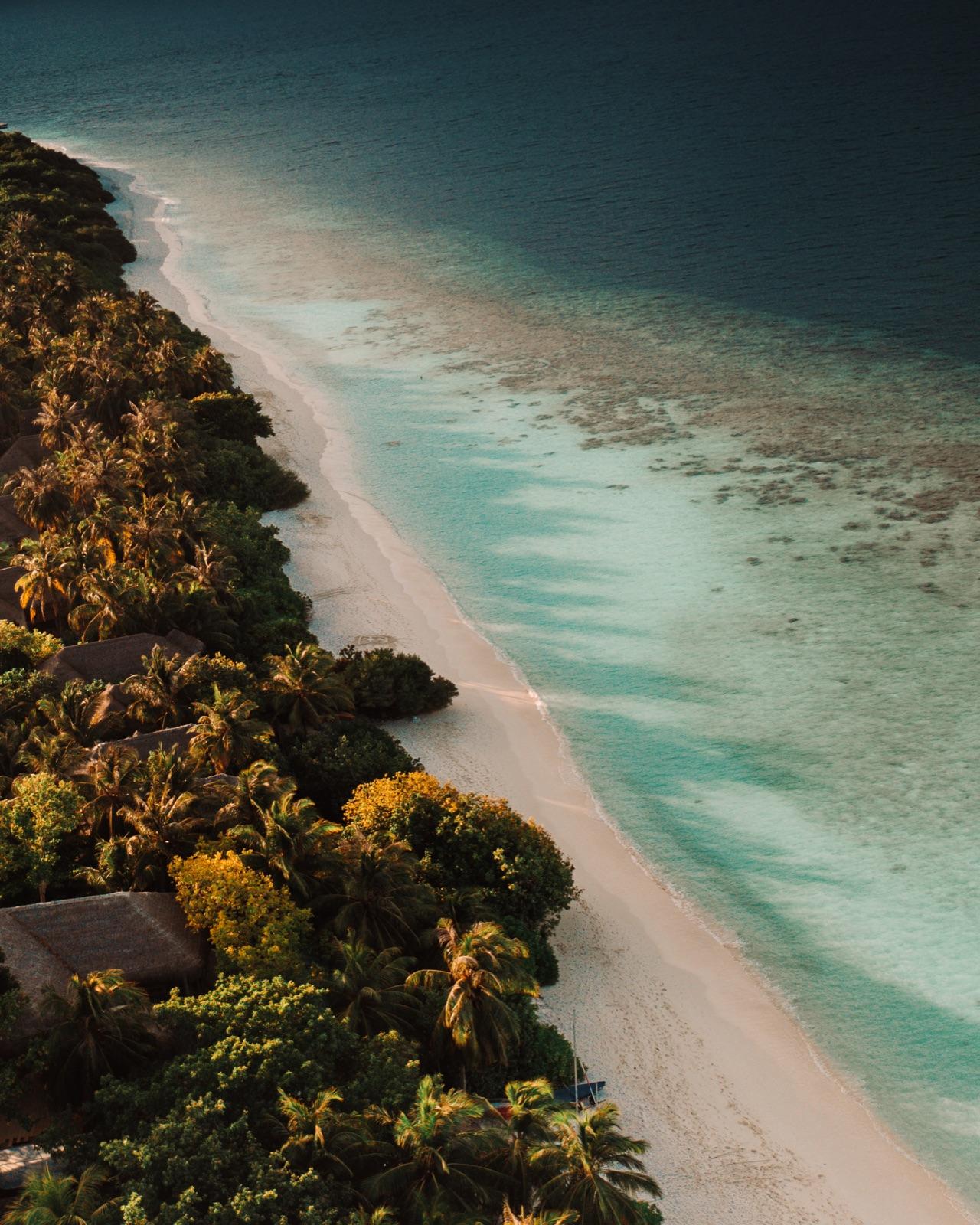 The Original Barefoot Island