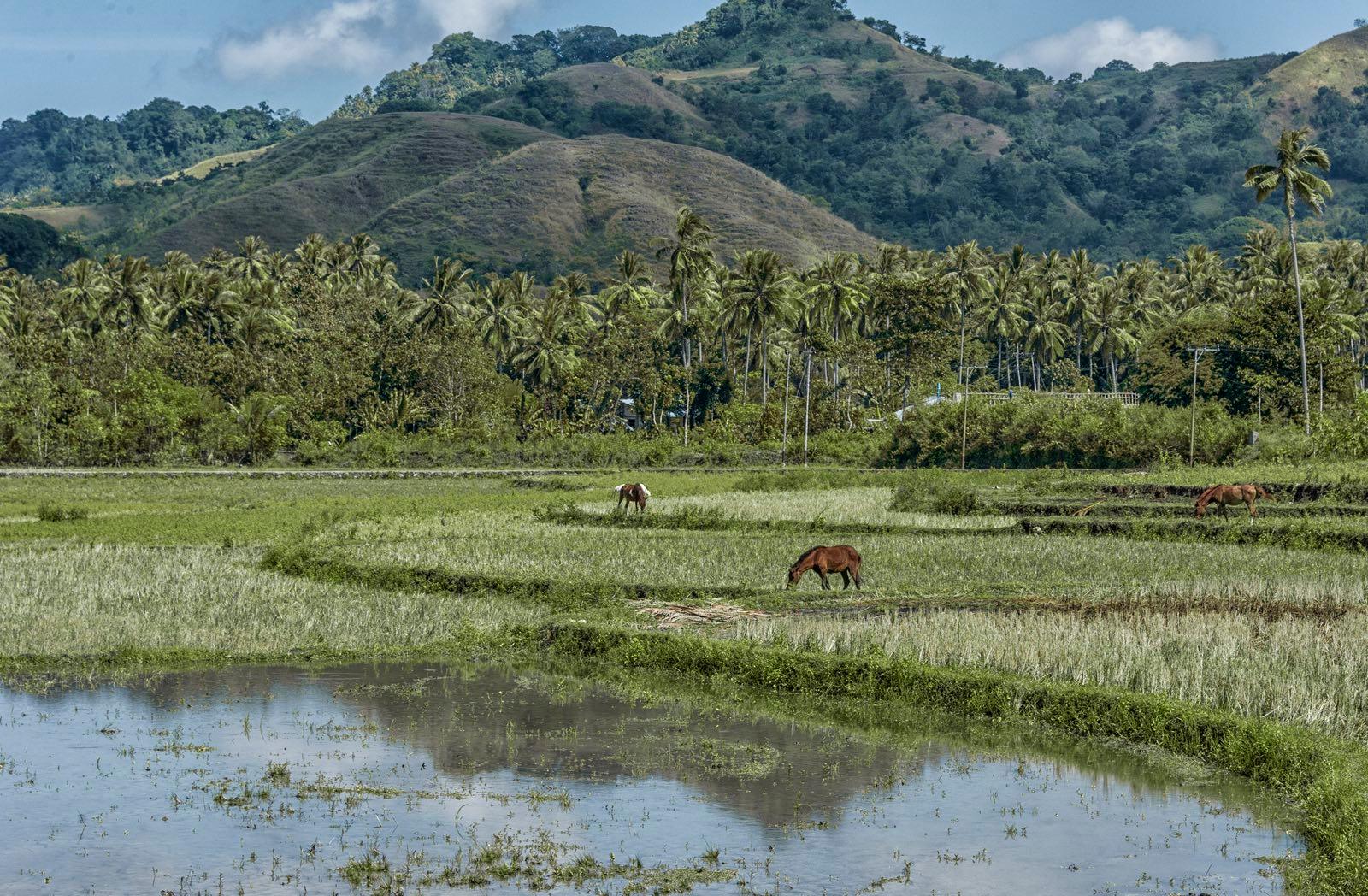 Nihioka Valley