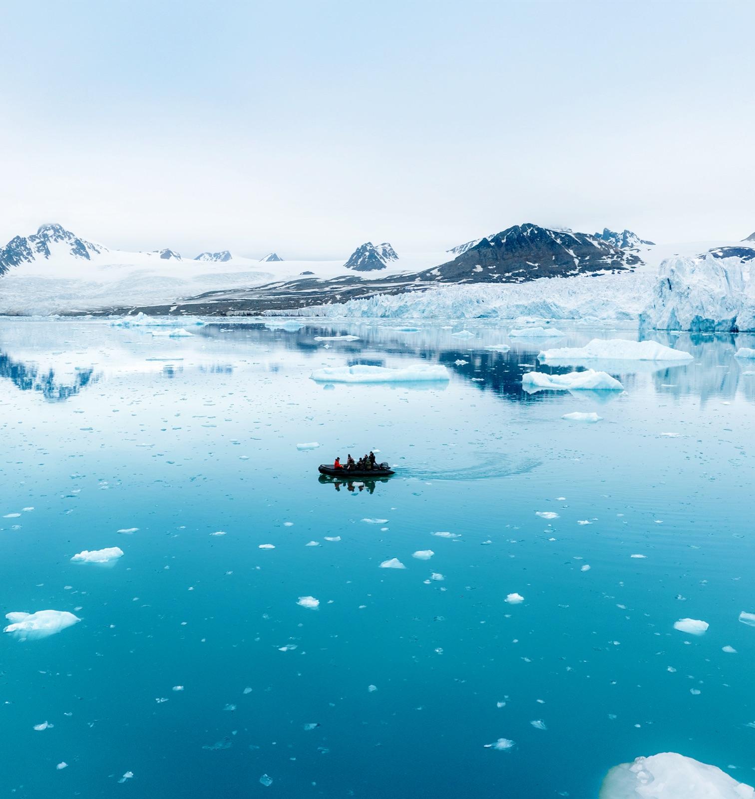 A polar bear on the sea ice