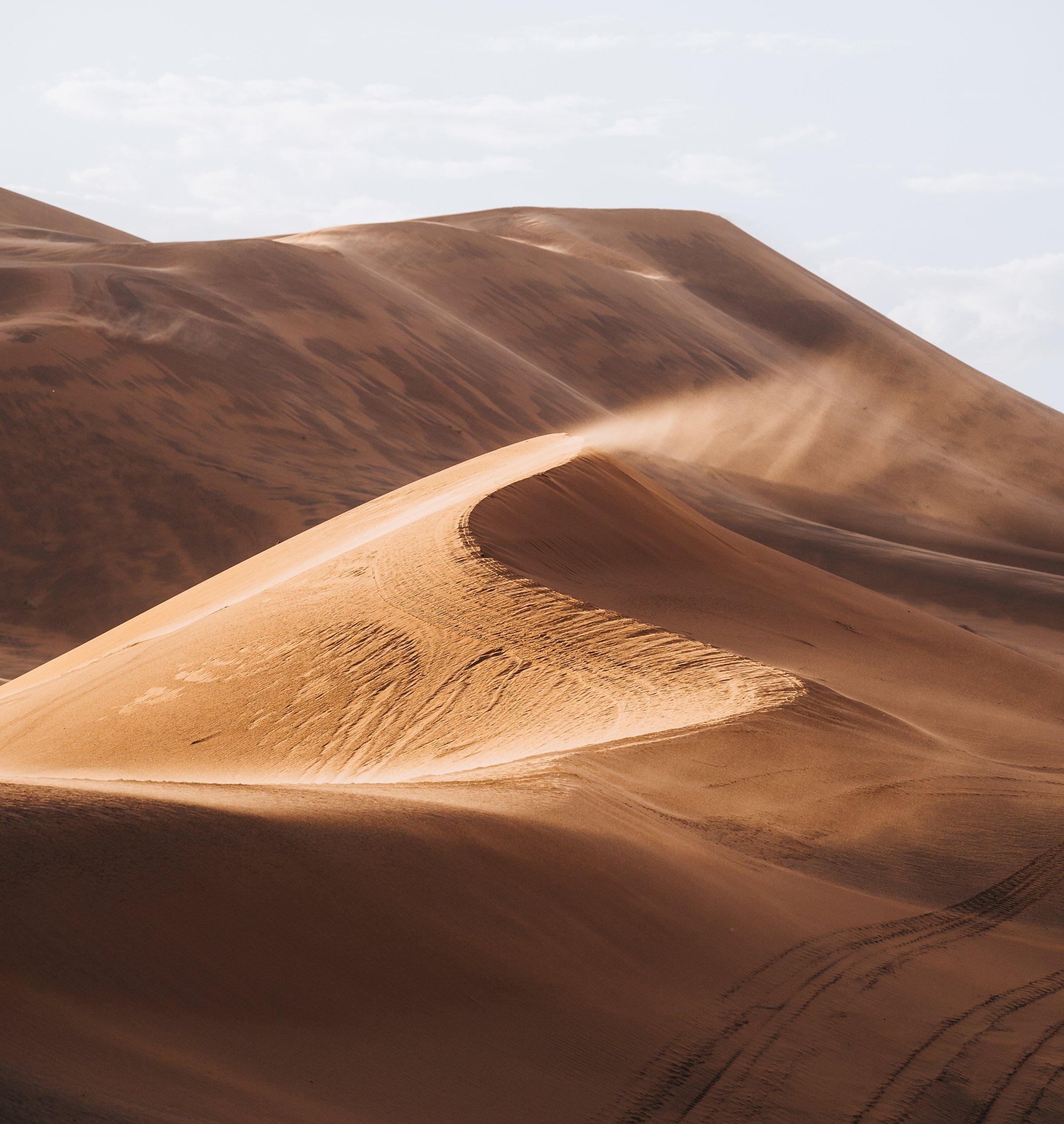 An Evening in the Desert, and Why Nothing Since Has Compared
