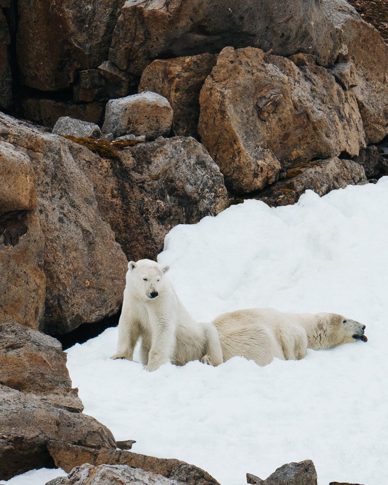 from-isles-to-ice — 80