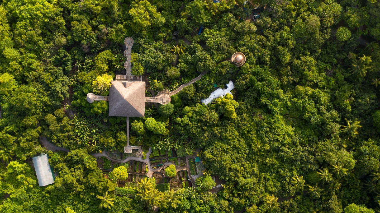the-house-of-fushi — 19