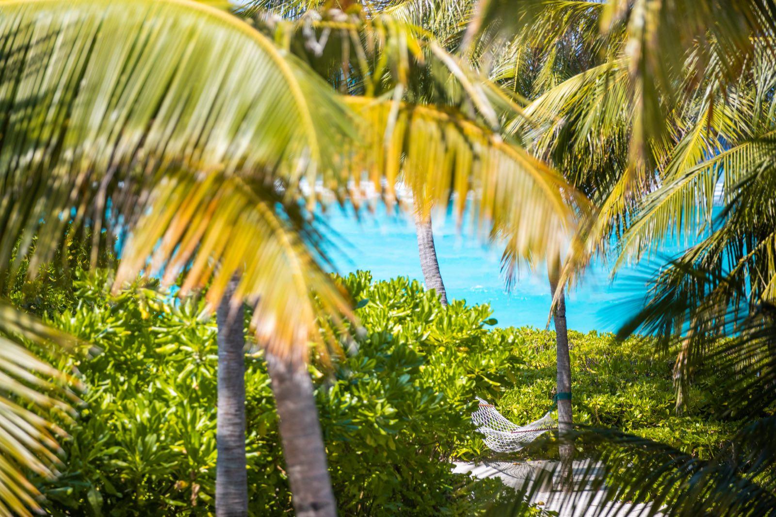 the-house-of-fushi — 40
