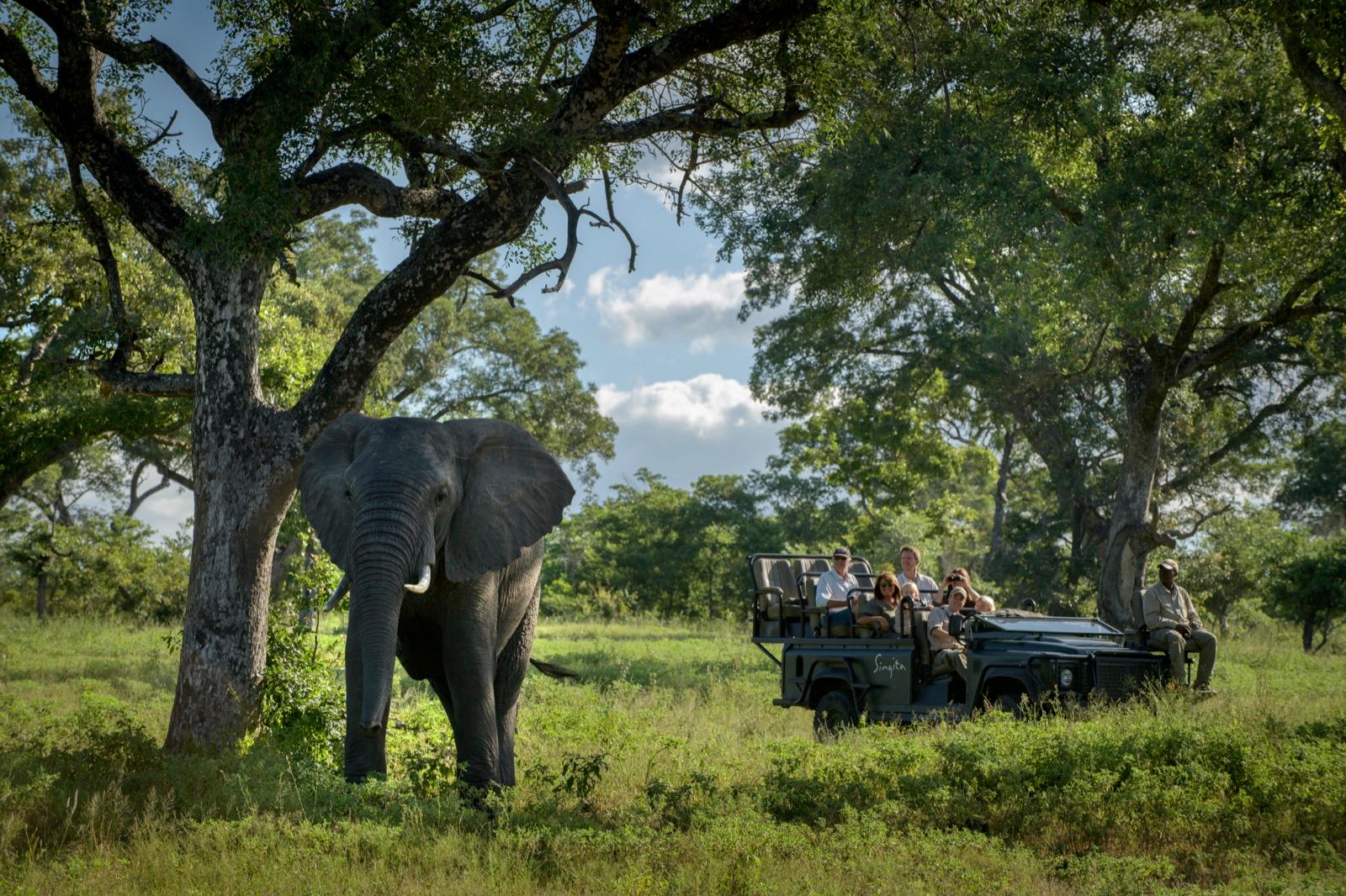 Leopard Country — interior