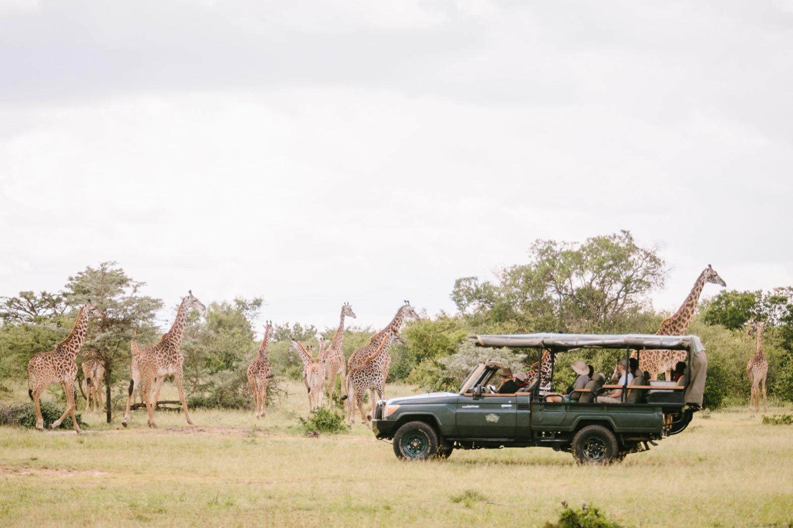 Time with Maasai guides in the conservancy